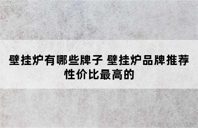 壁挂炉有哪些牌子 壁挂炉品牌推荐性价比最高的